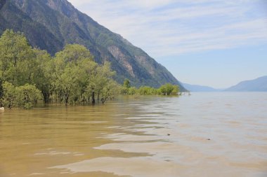 Teletskoe Gölü, Altay, Rusya