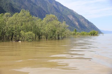 Teletskoe Gölü, Altay, Rusya