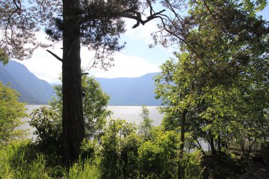 Teletskoe Gölü, Altay, Rusya