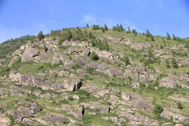 Teletskoe Gölü 'nün güzel vahşi doğası Altay.