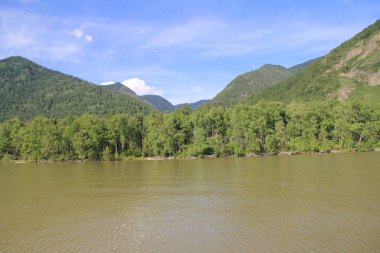 Teletskoe Gölü 'nün güzel vahşi doğası Altay.