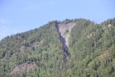 Teletskoe Gölü 'nün güzel vahşi doğası Altay.