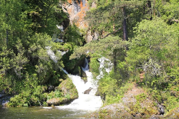 Teletskoe Gölü, Altay, Rusya