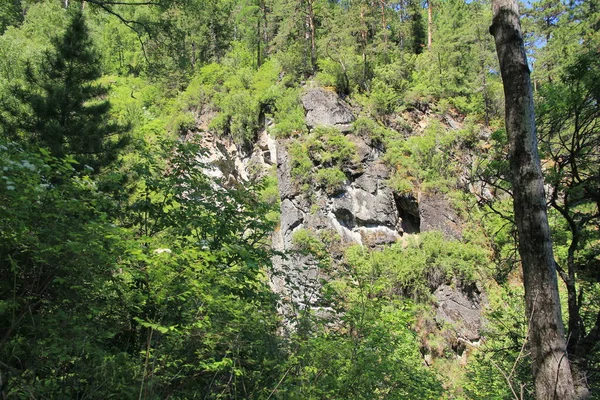 Teletskoe Gölü, Altay, Rusya