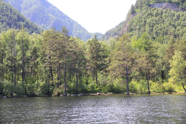 Teletskoe Gölü, Altay, Rusya