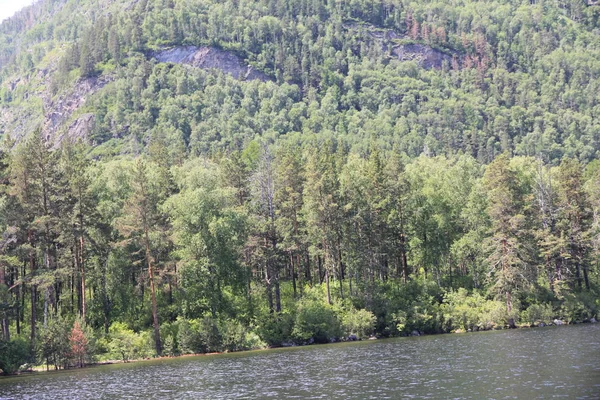 Teletskoe Gölü, Altay, Rusya