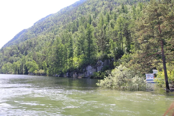 Teletskoe Gölü, Altay, Rusya