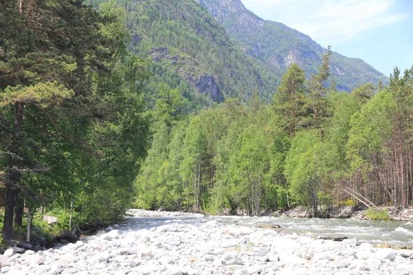 Teletskoe Gölü, Altay, Rusya