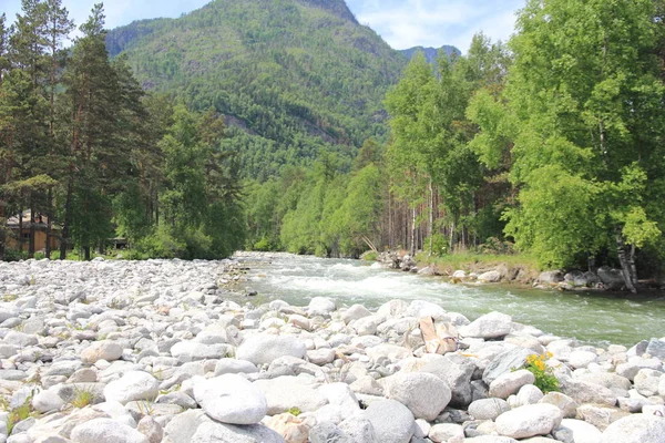 Teletskoe Gölü, Altay, Rusya