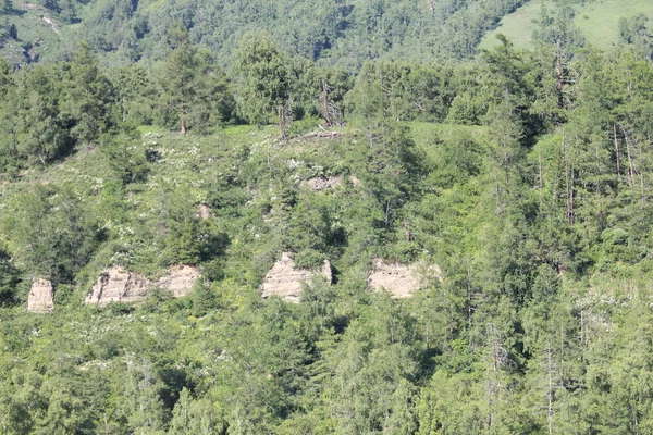 Teletskoe Gölü 'nün güzel vahşi doğası Altay.