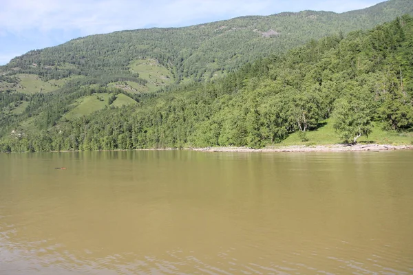 Teletskoe Gölü Altay Rusya — Stok fotoğraf