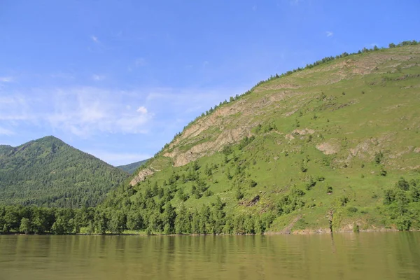 Gyönyörű Vad Természet Teletskoe Altay — Stock Fotó