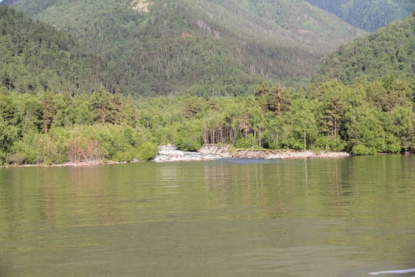 Teletskoe Gölü 'nün güzel vahşi doğası Altay.