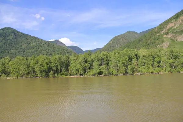 Teletskoe Gölü 'nün güzel vahşi doğası Altay.
