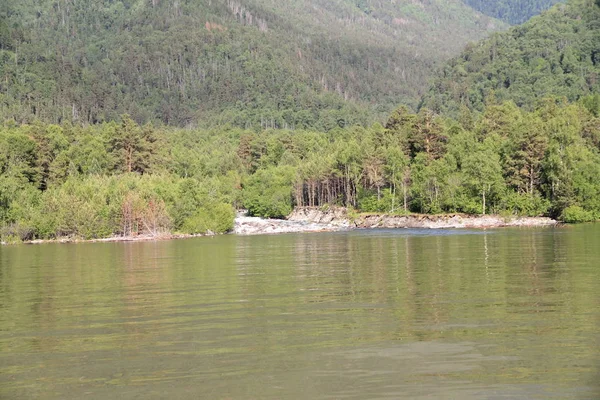 Vacker Vild Natur Sjön Teletskoe Altay — Stockfoto