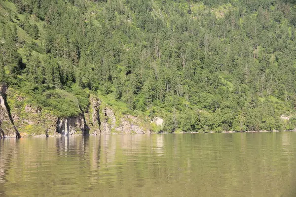 Teletskoe Gölü 'nün güzel vahşi doğası Altay.