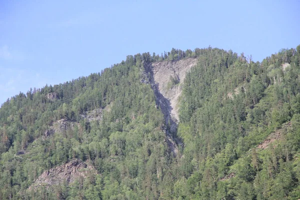 Teletskoe Gölü 'nün güzel vahşi doğası Altay.