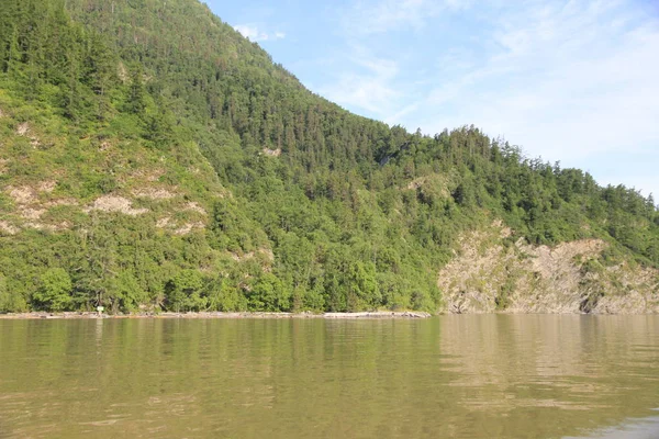 Bella Natura Selvaggia Del Lago Teletskoe Altay — Foto Stock