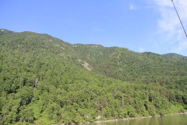 Teletskoe Gölü 'nün güzel vahşi doğası Altay.