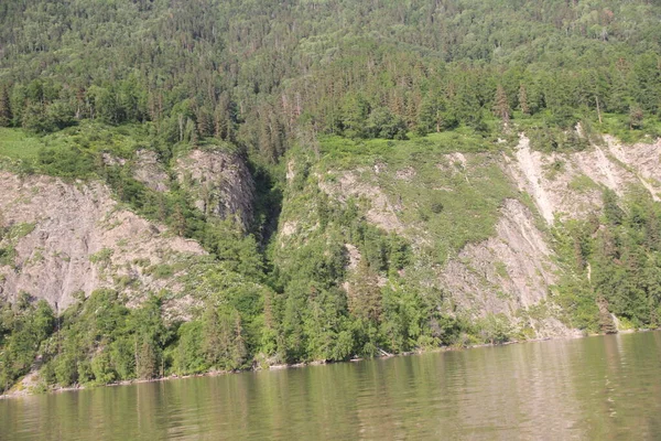 Bella Natura Selvaggia Del Lago Teletskoe Altay — Foto Stock