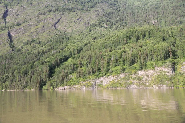 Altay dağlarında Teletskoe Gölü, Rusya 
