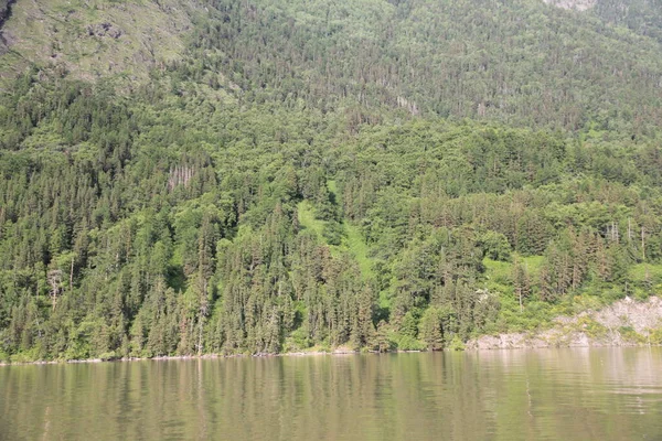 Altay dağlarında Teletskoe Gölü, Rusya 