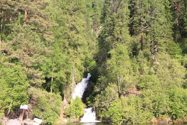 Altay dağlarında Teletskoe Gölü, Rusya