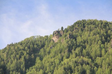 Altay dağlarında Teletskoe Gölü, Rusya