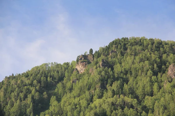 Altay dağlarında Teletskoe Gölü, Rusya