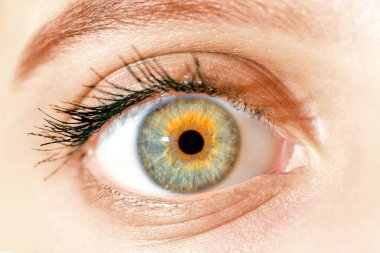 macro blue yellow eyes , iris pupil , macro eyes clipart