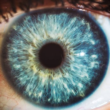 Makro gözler mavi 