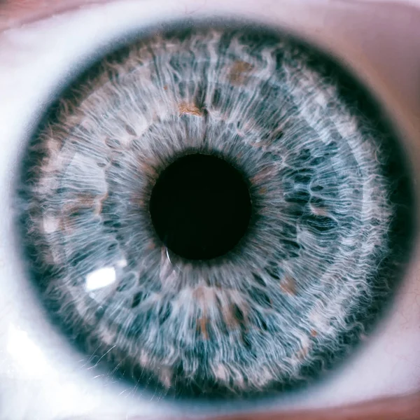 Makro Gözler Mavi — Stok fotoğraf