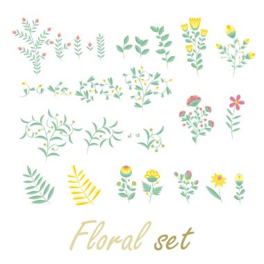 Çiçekli ve yapraklı renkli çiçek koleksiyonu. Yaz otlarının ve çiçeklerin bitki unsurları