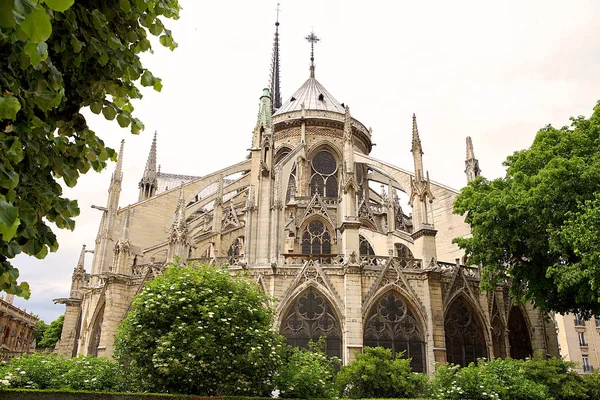 Catedral de Notre-Dame París, verano Francia vista desde el parque — Foto de Stock
