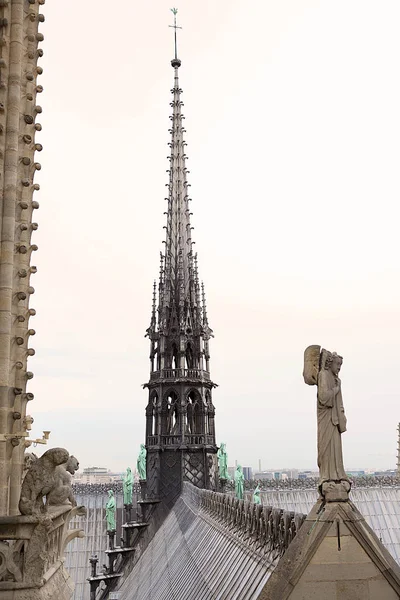 Notre-Dame Katedrali Paris, yaz aylarında Fransa sermaye mimarisi