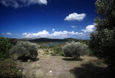 Görünümü güzel Akdeniz Park, Rhodes, Yunanistan.