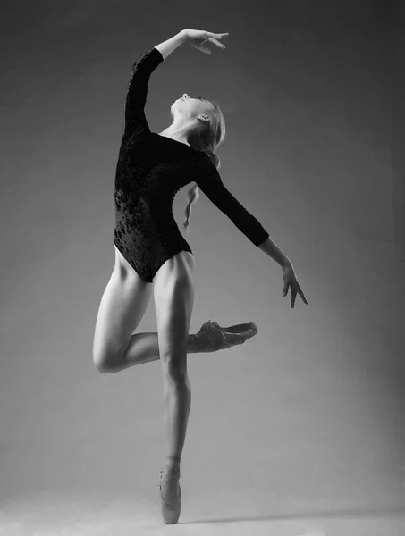 Bailarina en traje azul posando en los dedos de los pies, plano de estudio en blanco y negro —  Fotos de Stock