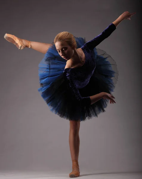 Bela bailarina com corpo perfeito em roupa azul tutu posando em estúdio. arte ballet clássico . — Fotografia de Stock