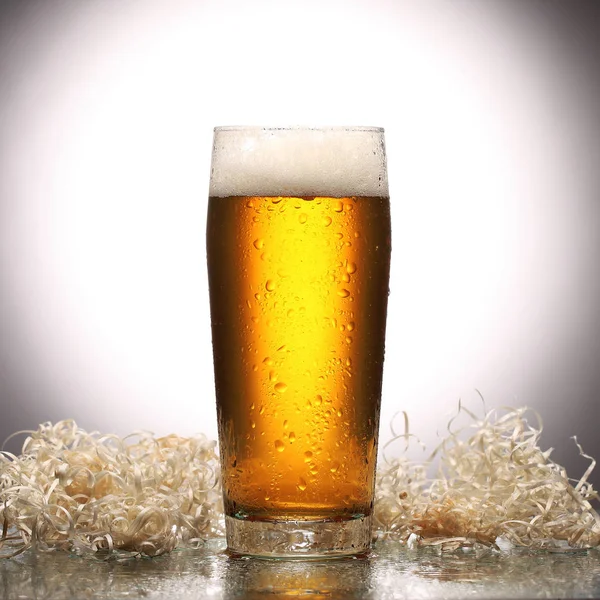 Glass of fresh lager beer on light studio background with reflection — Stock Photo, Image