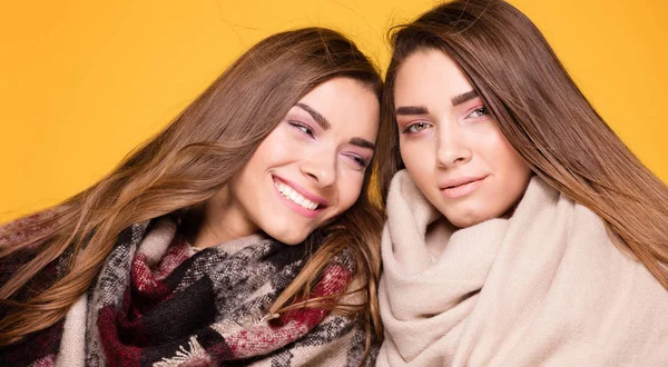 Весёлые сёстры-близнецы позируют с шарфом . — стоковое фото