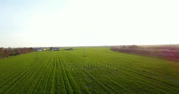 Vue aérienne. Beau paysage de coucher de soleil des champs agricoles en Italie . — Video