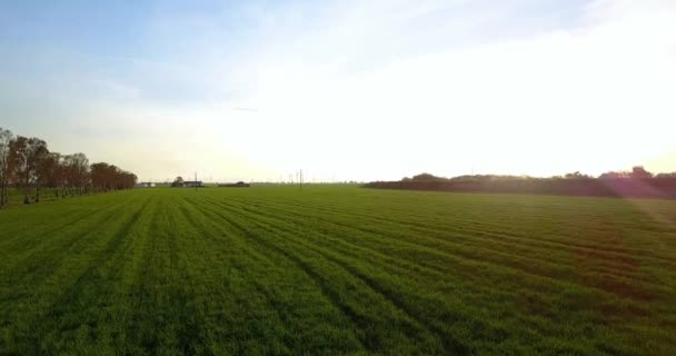 Hermoso paisaje al atardecer de campos agrícolas — Vídeos de Stock