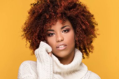 Afro saç modeli ile güzel bir kadın portresi.