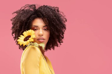 Pembe pastel stüdyo arka planında sarı ayçiçeğiyle poz veren güzel afro kadın. Kadınlar ve anneler günü kavramı. Bahar, yaz hisleri. Kız gücü.