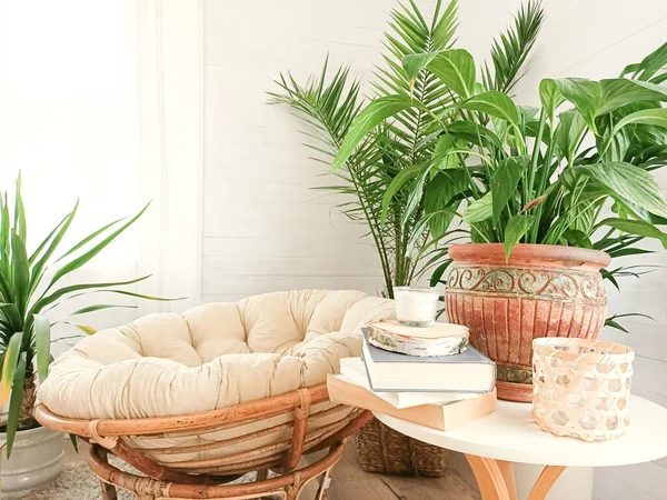 Casa Con Acogedor Interior Boho Étnico Salón Plantas Verdes Macetas — Foto de Stock