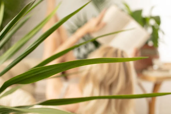 Jovem Mulher Relaxando Casa Boho Com Livro Sobre Várias Plantas — Fotografia de Stock