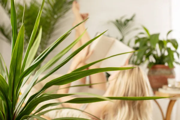 Mujer Joven Relajándose Casa Boho Con Libro Sobre Varias Plantas —  Fotos de Stock