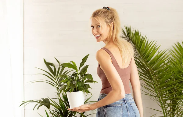 Νεαρή Ξανθιά Γυναίκα Που Κρατάει Πράσινο Φυτό Χαμογελώντας Σπιτική Ιδέα — Φωτογραφία Αρχείου