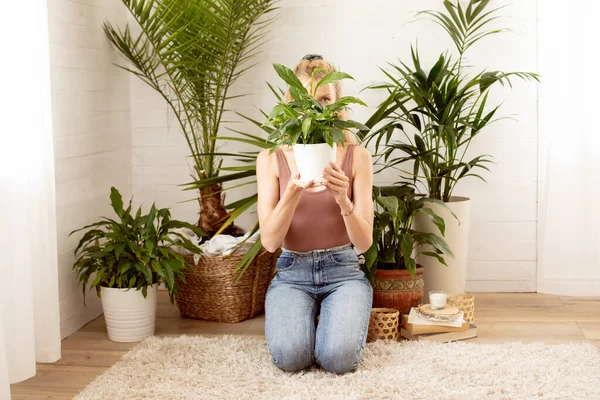 Jovem Segurando Planta Verde Frente Seu Rosto Conceito Jardinagem Casa — Fotografia de Stock