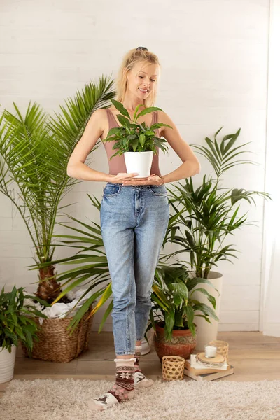 Νεαρή Γυναίκα Που Κρατάει Πράσινο Φυτό Χαμογελώντας Σπιτική Ιδέα Κηπουρικής — Φωτογραφία Αρχείου
